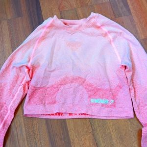 Pink ombre long sleeve crop